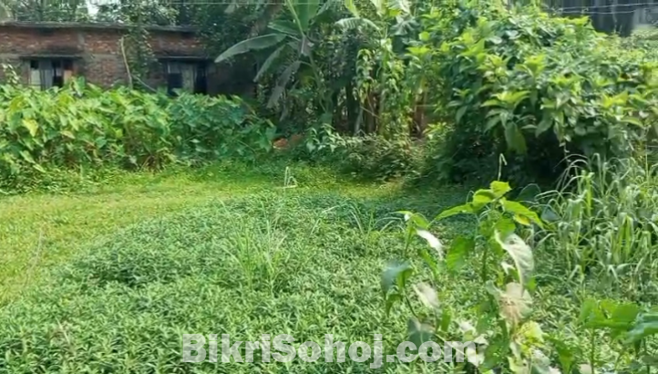 Property for sale